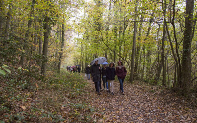 Journée d’études à Port Royal 04/11/2016